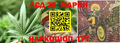 PSILOCYBIN Кингисепп