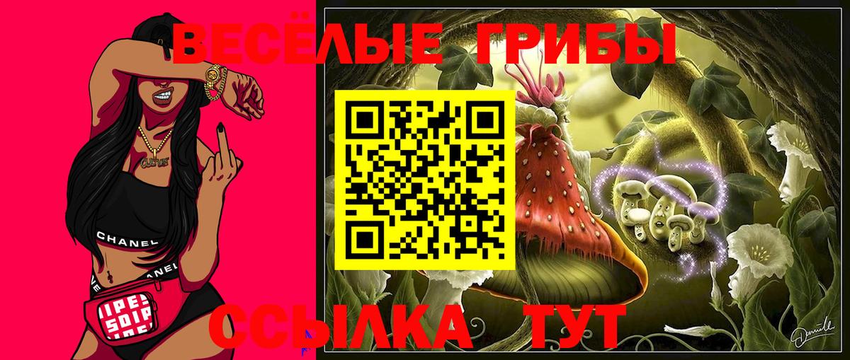 Черногорск  Псилоцибиновые грибы GOLDEN TEACHER  Псилоцибиновые грибы Magic Shrooms  Вход с VPN 